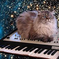 Music4Win