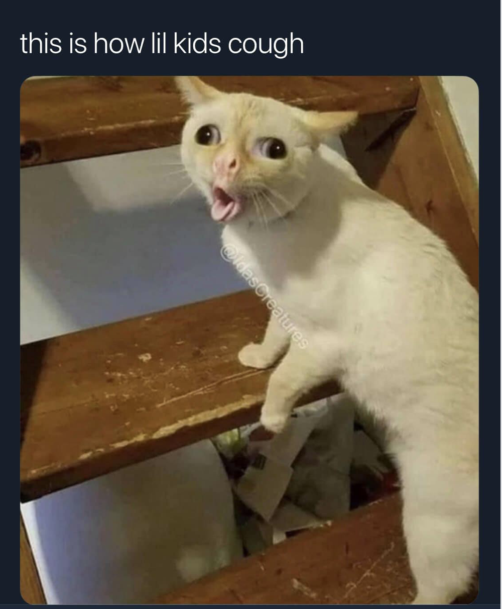 Click image for larger version

Name:	Screen Shot 2018-12-23 at 4.43.57 PM.png
Views:	42
Size:	731.6 KB
ID:	87828